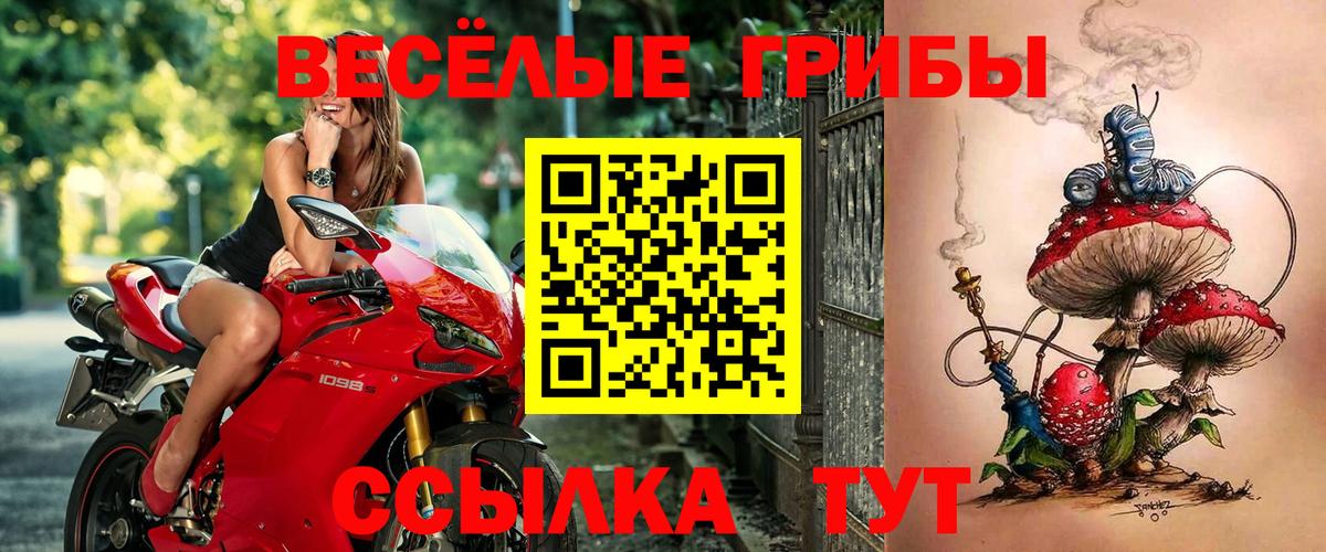 Отрадный  Псилоцибиновые грибы ЛСД  Псилоцибиновые грибы мухоморы  где купить   Вход с VPN 